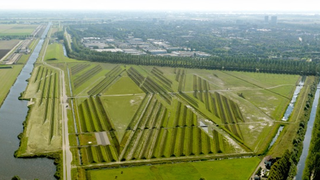 How This Simple Landscaping Project Quiets an Airport's Roar